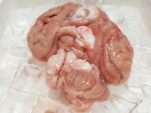 ̴ƫ߲ܳʲô ̴ƫߵʳ