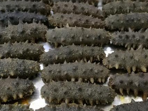 ��Щ�˲���ʳ�ú��� �����䲹��ҲҪע�����