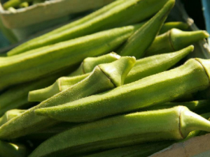 �������Ӫ����ֵ �������ô���ó�