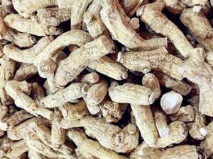 ����β��ʺ�ʲô�˳� ����ε�ʳ�ý���