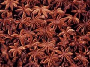 �˽���Ĺ�Ч �˽������η�ʪ����