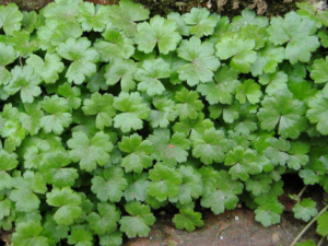 ���ݴ�Ĺ�Ч���� ���ݴ���λ���