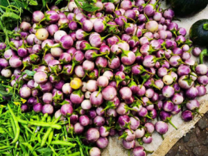 ���ѻ�ɢ�Ĺ�Ч���� ���ѻ�ɢ��С������