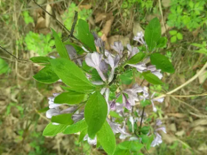 ����������Ĺ�Ч ������������ˮʪͣ��