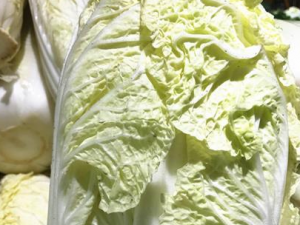 ��ײ˵�ʳ������ ��ײ˵ļ��ֲ�������������