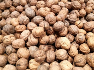 ���ҳԶ��˻���ô�� ���ҳԶ��˵�Σ��