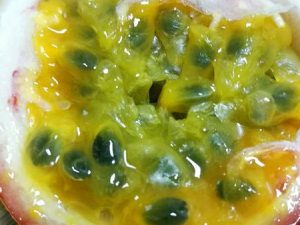 �����ʳ�õ�ע������ ���������Щ��Ч