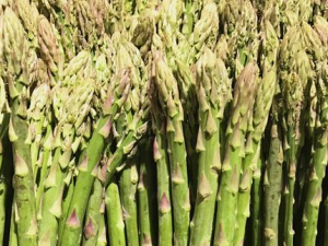 «���ʳ�ý��� ��Щ�˲��˳�«��