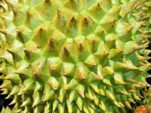 �������ߴ���� �������������ѿ�����