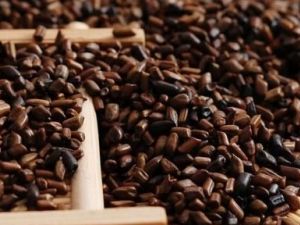 ��������ʲô������ �����Ӷ������Σ��