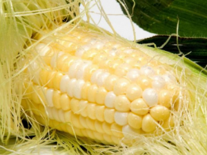 ��������ʲô��Ч������ ��������ˮ�����Ƚ��Ѫѹ