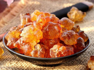 �ҽ�Ҫ��ô�ݷ� �ҽ�Ҫ���ò�����