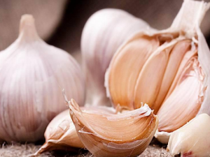 ����Զ�����ʲô���� ���ⲻ�˶��Ҳ�и�����