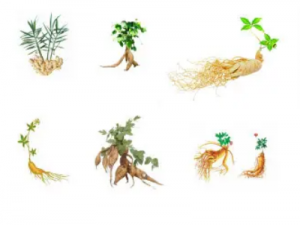 ������Ĺ�Ч ������������ò���