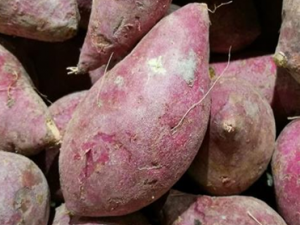 ��Щ��Ⱥ���˳Ժ��� ����Ժ���Ҫ����3����