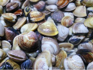 4ʺ϶ԵĺЩ ԺҪעĽ