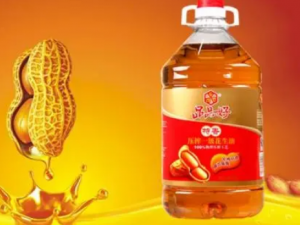 ����������Щ��Ч ����������Ѩλע���γ���