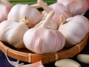 ����������������� �����ؿ���ǿ������Ԥ������