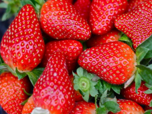 ��ݮ��ʲôӪ�������� ����ά����C�ȶ���Ӫ������