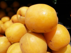 ����ʳ��ʱ����ЩҪע��� ���˵�ʳ�ý���