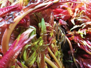 ʲô�˳��㴻���׹��� �㴻��ʲô����һ���