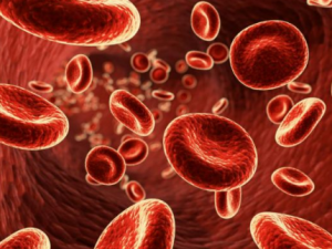 ƶѪʲôѪЧ ԲѪʳƼ