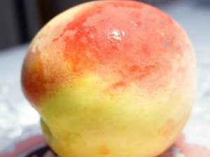 ʳ����������Щ���� �ļ���ν���������