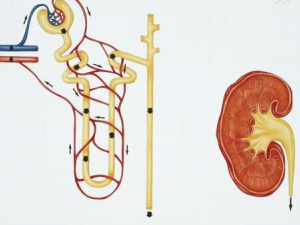 ������6������ һ����������