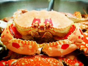 ��Щ�˲��ܳ��з ���зҪע��Ľ���