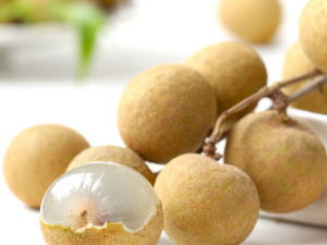 ���������Ի������Ե� ������������ˮ��������ϻ�