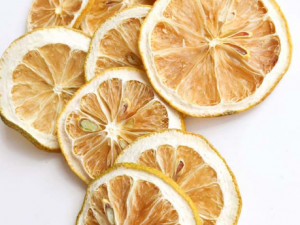 ���������ʸ�Ƭ ���ʸ�Ƭ�����뱣�淽��