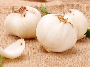 ���ʰٺ���ô���� �������б��ʼ���