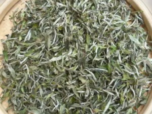 ��ͷɢ�Ĺ�Ч���� ��ͷɢ��ƫ��ͷʹ