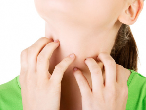 �����������ǹ�����ԭ�� ���Ԥ��������