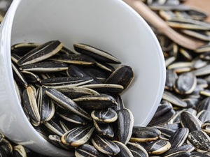 ����ྐྵ�������ЩΣ��