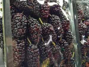 ɣ�ص�ʳ��ע������ ɣ�ز��ܺ�ʲô�����