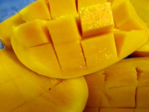 â������Щʳ�ý��� ��Щʱ���ܳ�â��