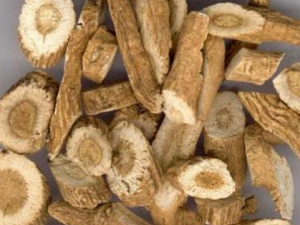 ����������Щ��Ч �������������������