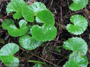 ���Ǯ����Щ��Ч ���Ǯ��С�㲻ͨ