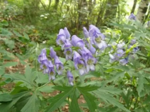 �����ȷʹ�ò��� ʹ�ò���Ҫע��Ľ���