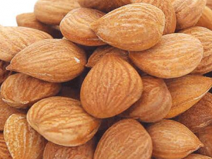 �������ж��� �����ʳԶ��˻��ж���