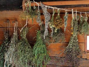 ����ҩ��ɻ��5��ʳ�� һ����������