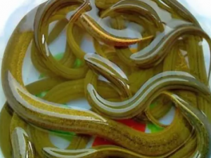 ��������ô�� ��������������