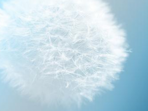 �ѹ�Ӣ�����ȷ��ˮ�� �ѹ�Ӣ��ˮ��Ҫע��Ľ���