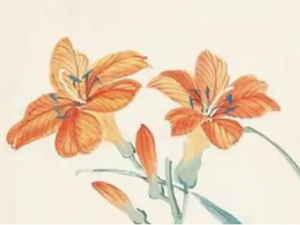 �붡��Ĺ�Ч �붡������Ӥ��С����̵����