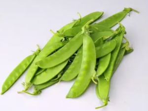 ��������ô����Ӫ�� �������óԵ�����