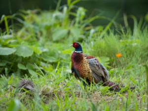 ���ԵĹ�Ч ����ͿĨ�����ڶ���