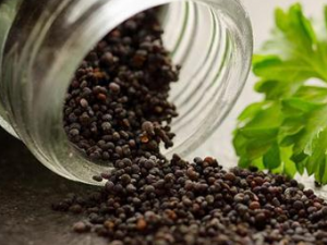 ��ҩ�����ڵ����ð������