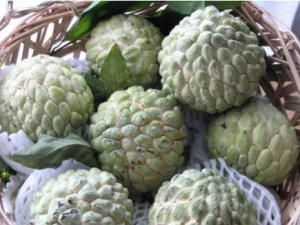 ���յĹ�Ч���� ������С�����