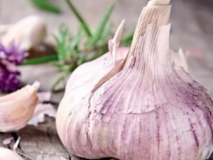 ����Ϳ���Ĺ�Ч ����Ϳ������С���ǻ�